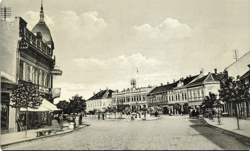 marija-mileusnic